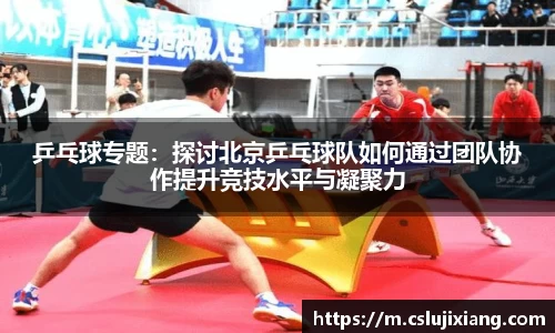 乒乓球专题：探讨北京乒乓球队如何通过团队协作提升竞技水平与凝聚力