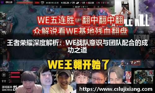 王者荣耀深度解析：WE战队意识与团队配合的成功之道