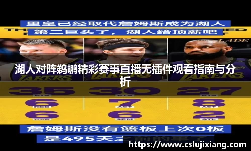 湖人对阵鹈鹕精彩赛事直播无插件观看指南与分析