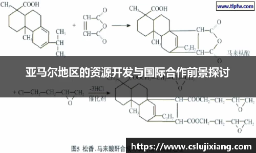亚马尔地区的资源开发与国际合作前景探讨