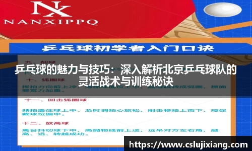 乒乓球的魅力与技巧：深入解析北京乒乓球队的灵活战术与训练秘诀